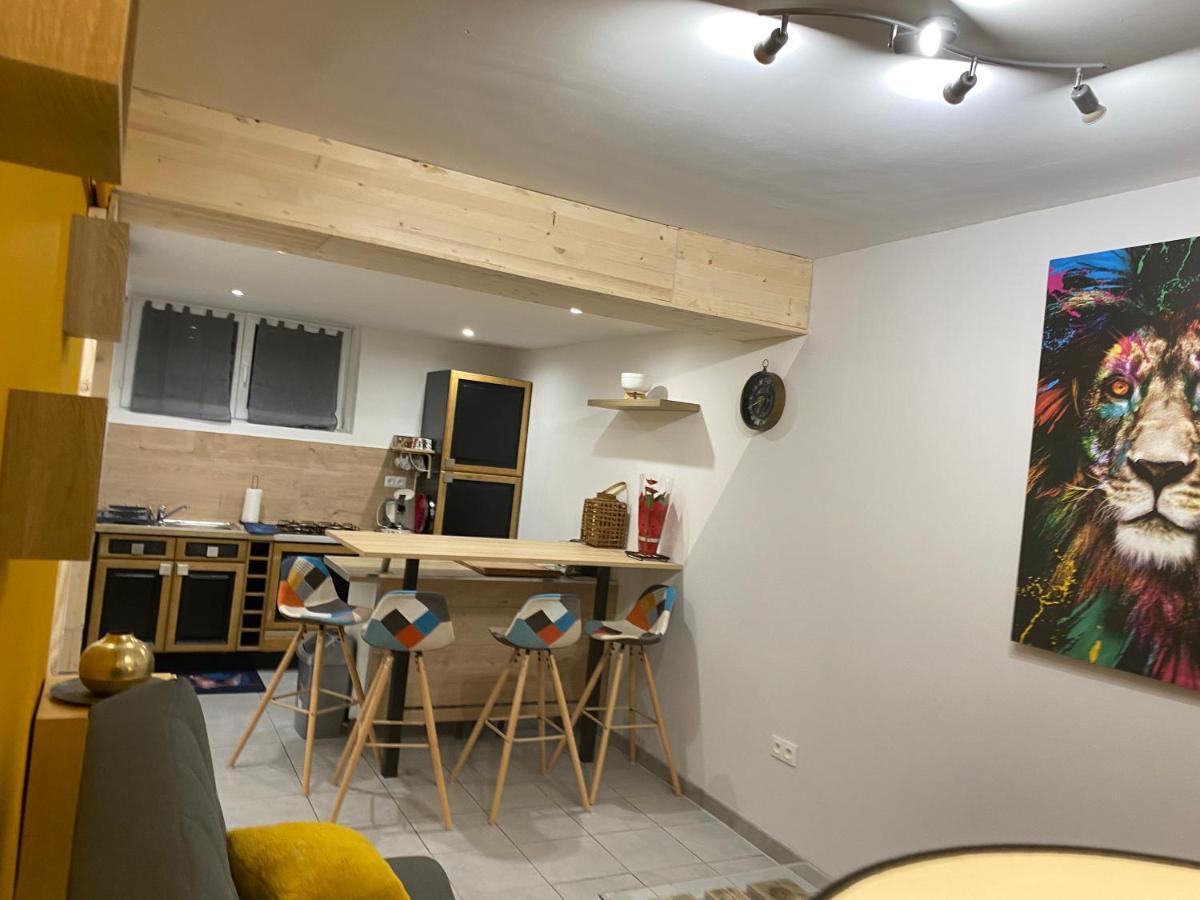 Studio 40M2 Plein Pied Avec Parking Jussac Exterior photo