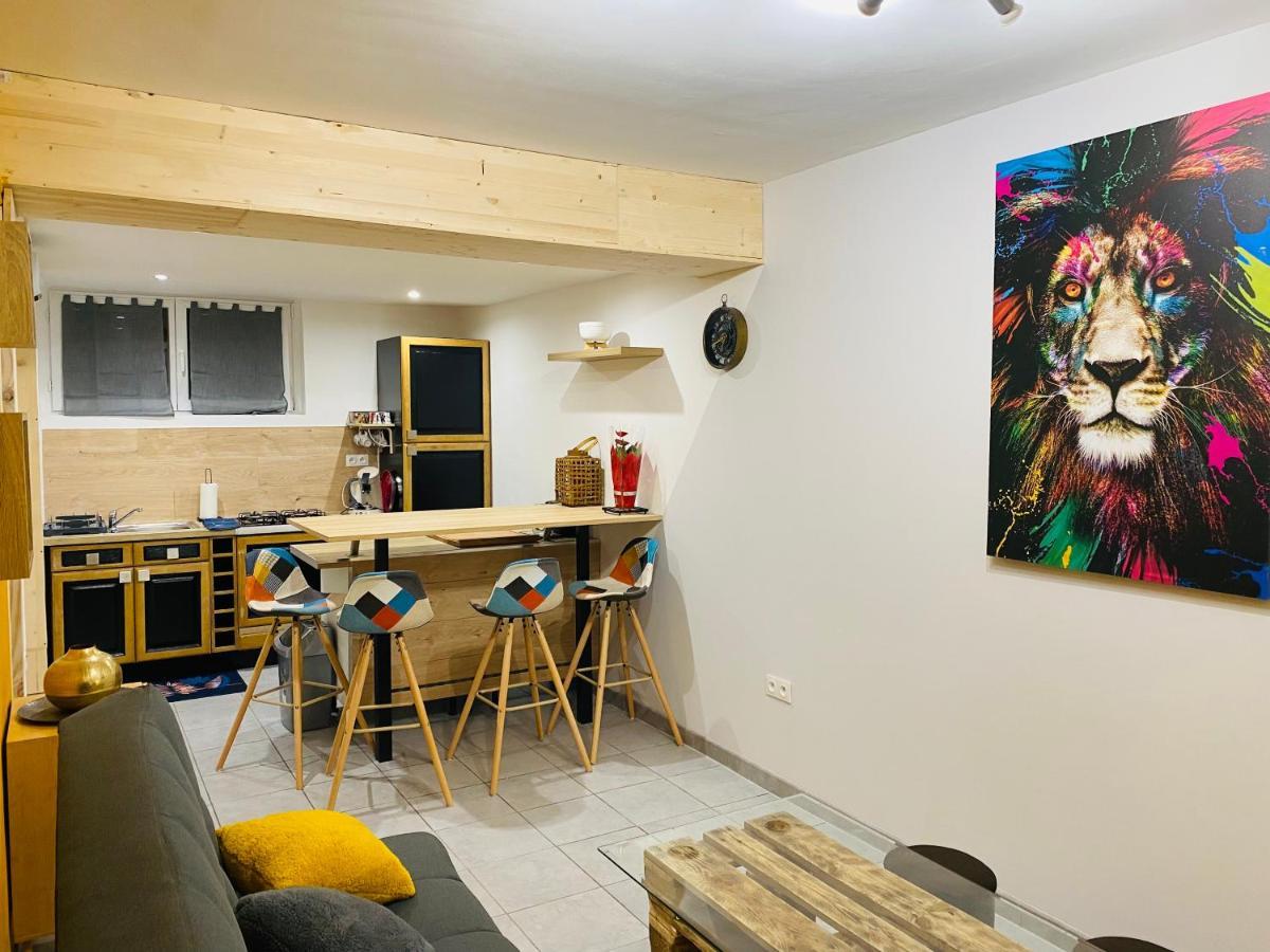 Studio 40M2 Plein Pied Avec Parking Jussac Exterior photo